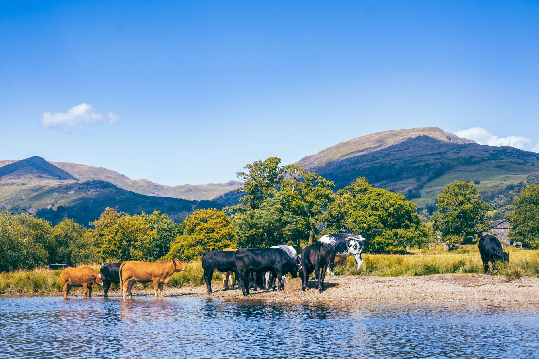 Fellside Dining
